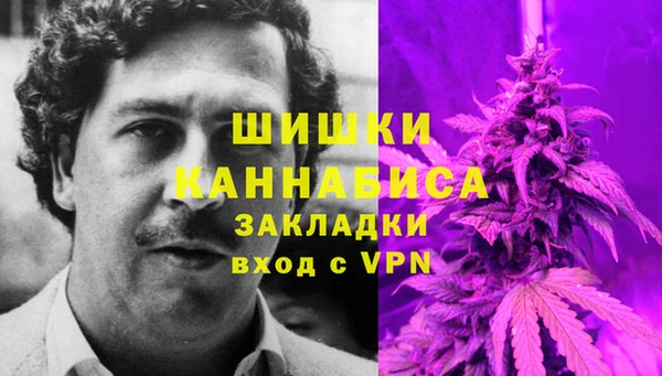 винт Алексин