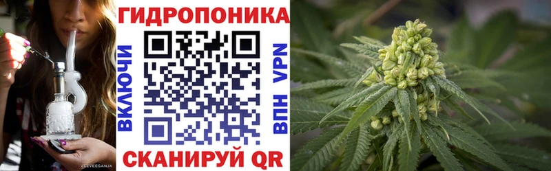 Бошки марихуана марихуана  где можно купить   Белебей 